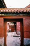 Original KODAK ColorPlus 200 35mm Film – 36 Exposures per Roll thumbnail 8