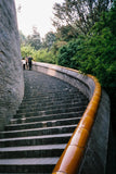 Original KODAK ColorPlus 200 35mm Film – 36 Exposures per Roll thumbnail 9