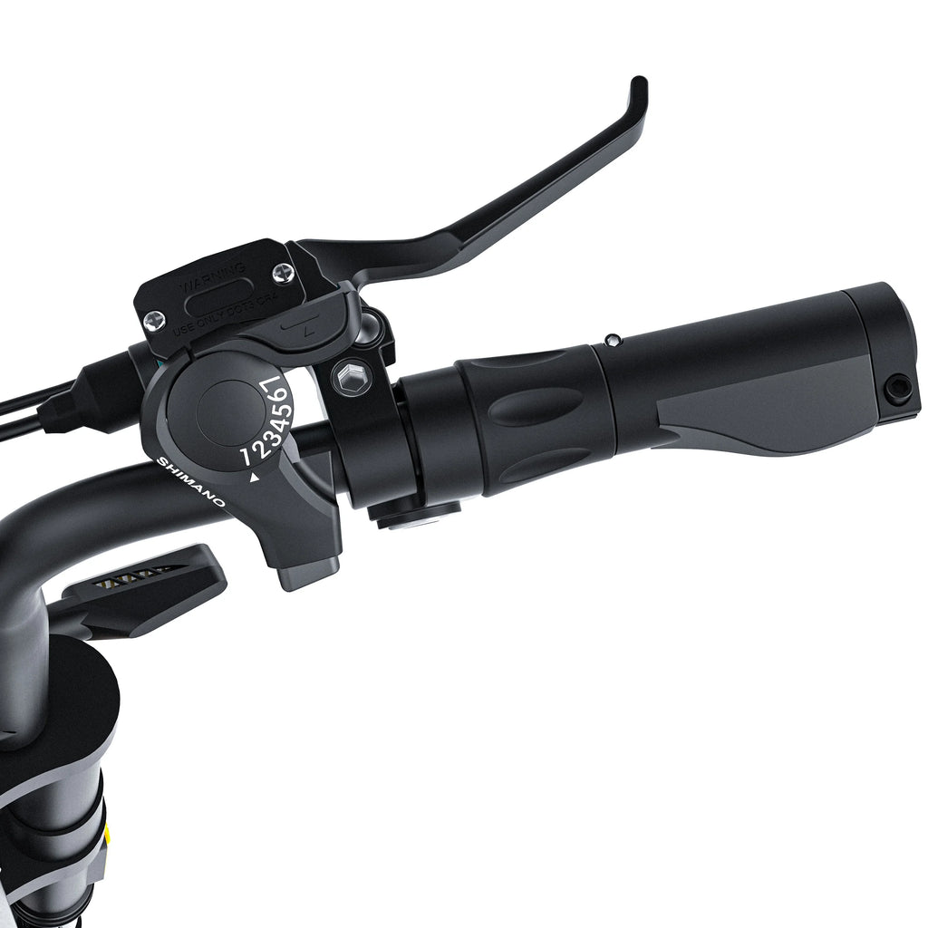 Coswheel CT20S 2000W Electric Dirt Bike – 60V 27.5Ah Fat Tire Ebike for Adults (20" Off-Road Tires, 161km Range)